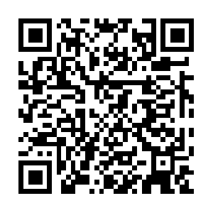 Holidaylettingslicensesalicante.com QR code