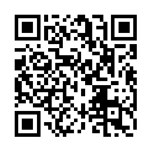 Hollerithdatasolutions.com QR code