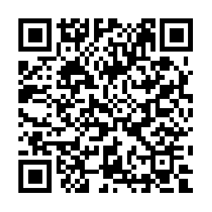 Hollywooddevelopmentcorporation.org QR code