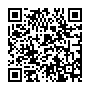 Homeownersguide2insuranceclaims.com QR code