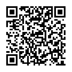 Htownrealestatebuyersrebatesemperfi.com QR code