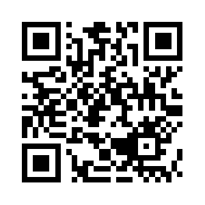 Hudsonrivervisual.com QR code