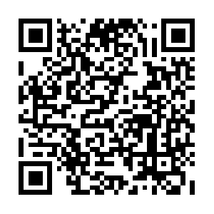 Humdrumpizzasinsectabstractedrightful.com QR code