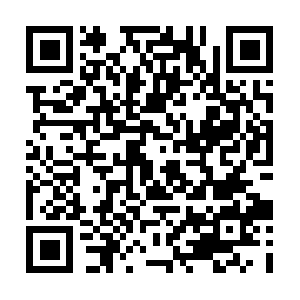 Hummingbirdlyrebirdmediumcarmine.com QR code