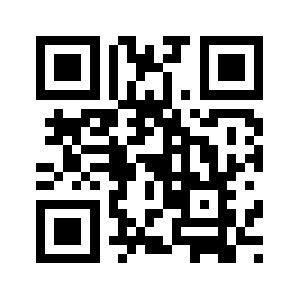 Hurtwig.com QR code