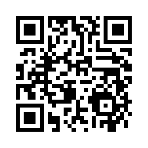 Huseyinerdil.com QR code