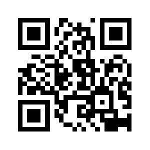 Huz53.com QR code