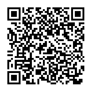 Hweu-alexa-https-1715844874.eu-central-1.elb.amazonaws.com QR code