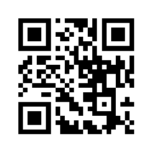 I.91danji.com QR code