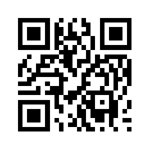 Icinzg.biz QR code