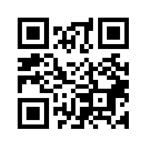 Idn-fm.info QR code