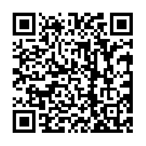 Igbce-jugend-plattform-gladbeck.com QR code