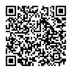 Iipc-internationalindigenouspeoplescourtigo.com QR code