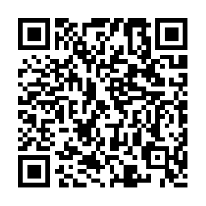 Img-tailor.11222.cn.danuoyi.tbcache.com QR code