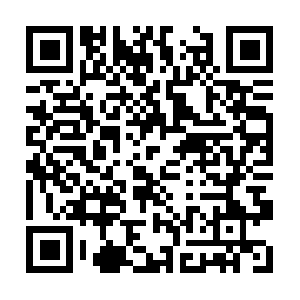 Imgs-30016.sz.gfp.tencent-cloud.com QR code