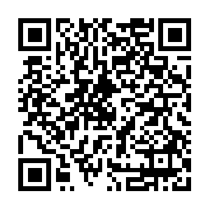 Immense-facts-to-grasp-drivingforth.info QR code