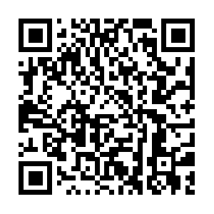 Immense-facts-to-haverushing-onward.info QR code