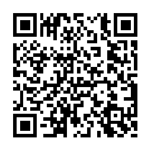 Immense-facts-to-store-going-forward.info QR code