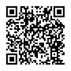 Immense-facts-to-storegoing-forward.info QR code