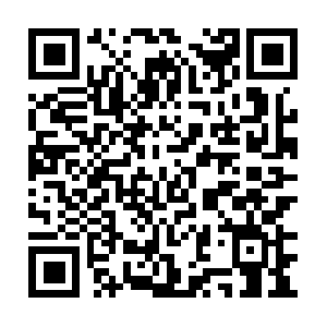 Immense-info-to-cachegoing-ahead.info QR code