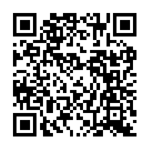 Immense-wisdom-toamass-running-forth.info QR code