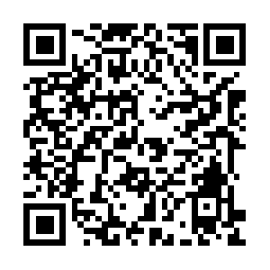 Immenseinfotograspdriving-forth.info QR code