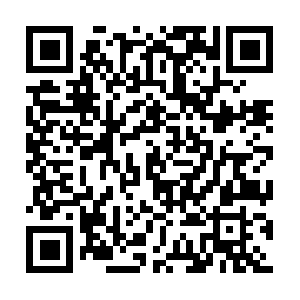 Immensewisdomtograsprollingforward.info QR code