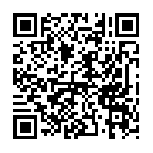 Immigrationverificationtravelers.com QR code