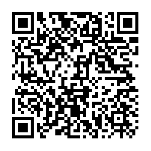 Imotech.tech.getcacheddhcpresultsforcurrentconfig QR code