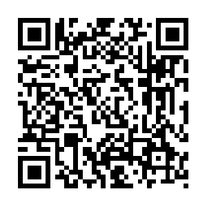 In-sms-api.vivoglobal.com.itotolink.net QR code