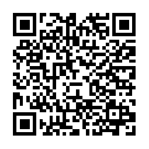 Incrediblefactstocachebustling-forth.info QR code