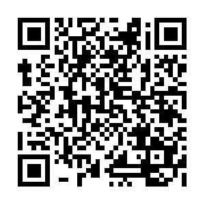 Incrediblefactstocarrydriving-forth.info QR code