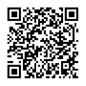 Incredibleinfotopossessdrivingforth.info QR code