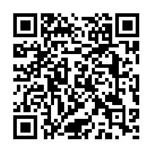 Indianapoliscarpetcleaningservices.mobi QR code