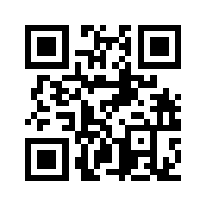 Info9.ge QR code