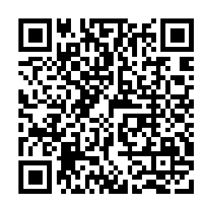 Infoportalonlinegrocerydelivery.com QR code