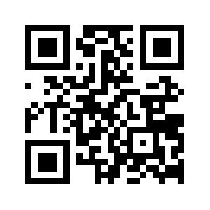 Insecond.info QR code