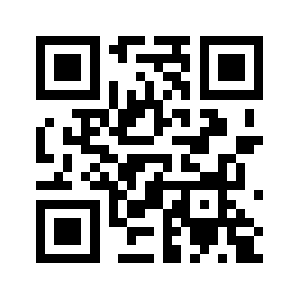 Insertdns.com QR code