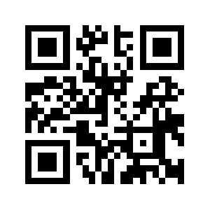 Insing.com QR code