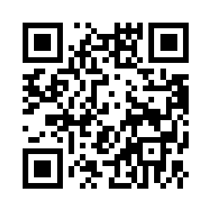 Insolidsynergy.com QR code