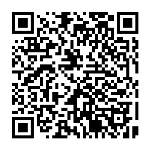 Instalaciondecanalonesdealuminiorivasvaciamadrid.com QR code