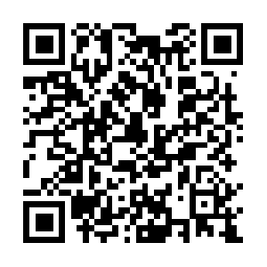 Instant-money-from-home-saintcatharines.com QR code