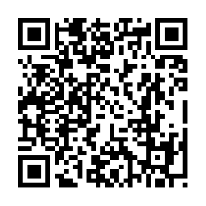 Instituteforpacificecosystemhealth.org QR code