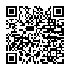 Institutodesaluddigestivayhepatica.net QR code