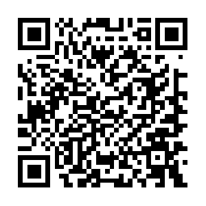 Insurancekellertexasdelightroach.com QR code