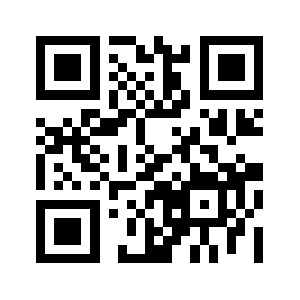 Insxity.com QR code