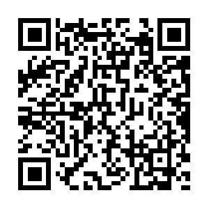 Integrale-wirbelsaeulentherapie.com QR code