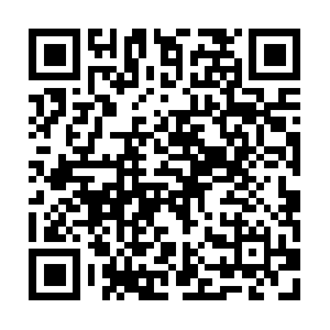 Intellectualpropertyprotectionagency.com QR code