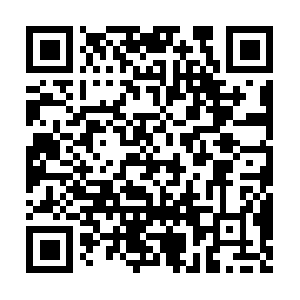 Intelligenceup-datesfrequently.info QR code