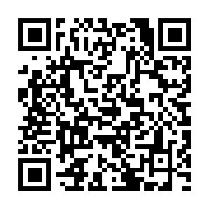 Internationalfudoshinartsassociation.net QR code